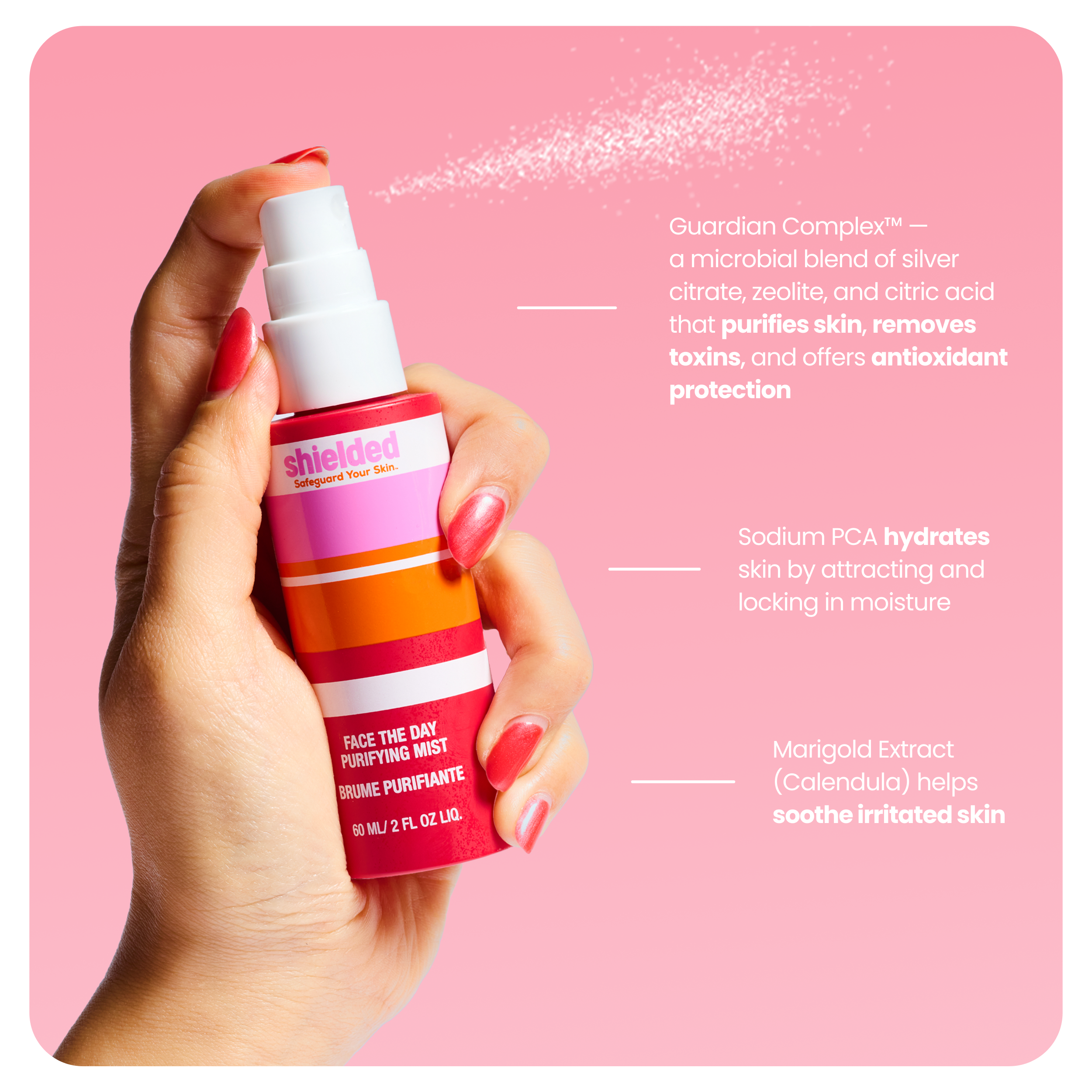 Face the Day Purifying Mist