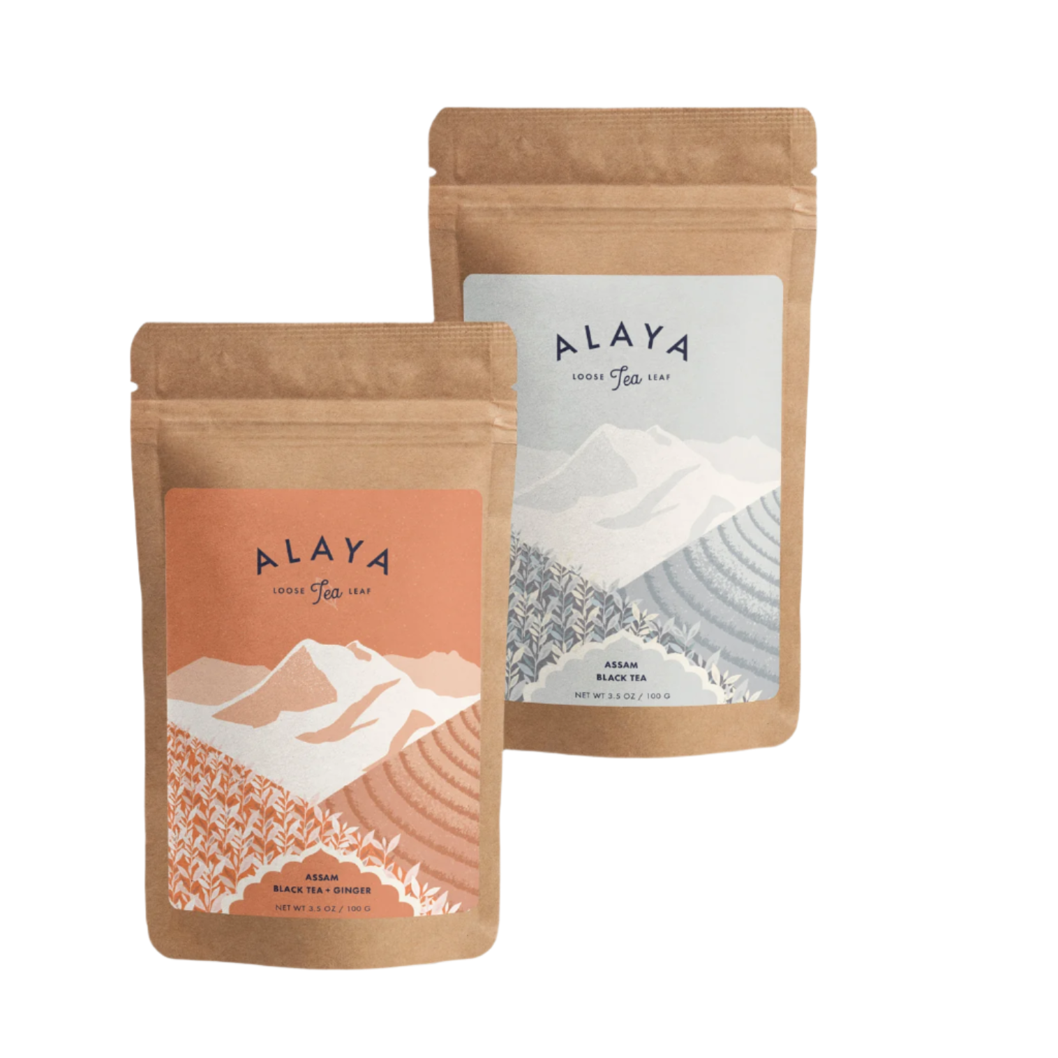 Organic Assam Black Tea Duo