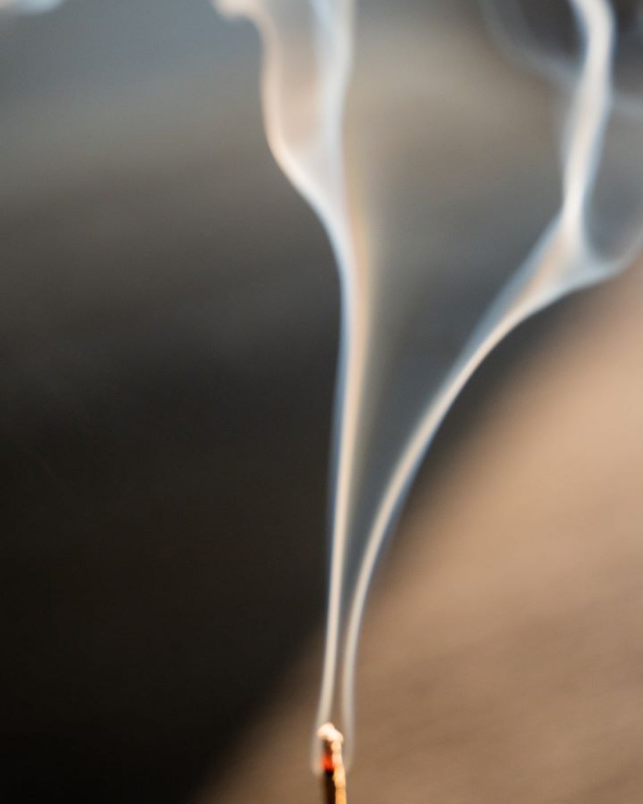 Sweetgrass Campfire Incense (20 Sticks) 3-Pack