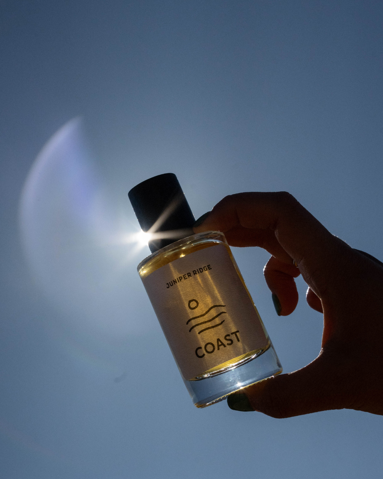 Coast Wilderness Cologne