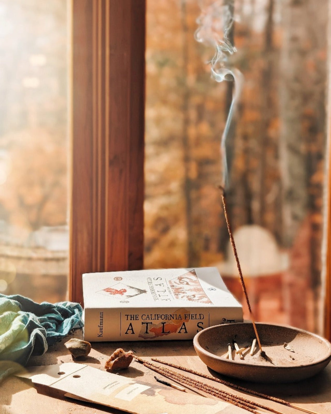 Desert Piñon Campfire Incense (20 Sticks) 3-Pack