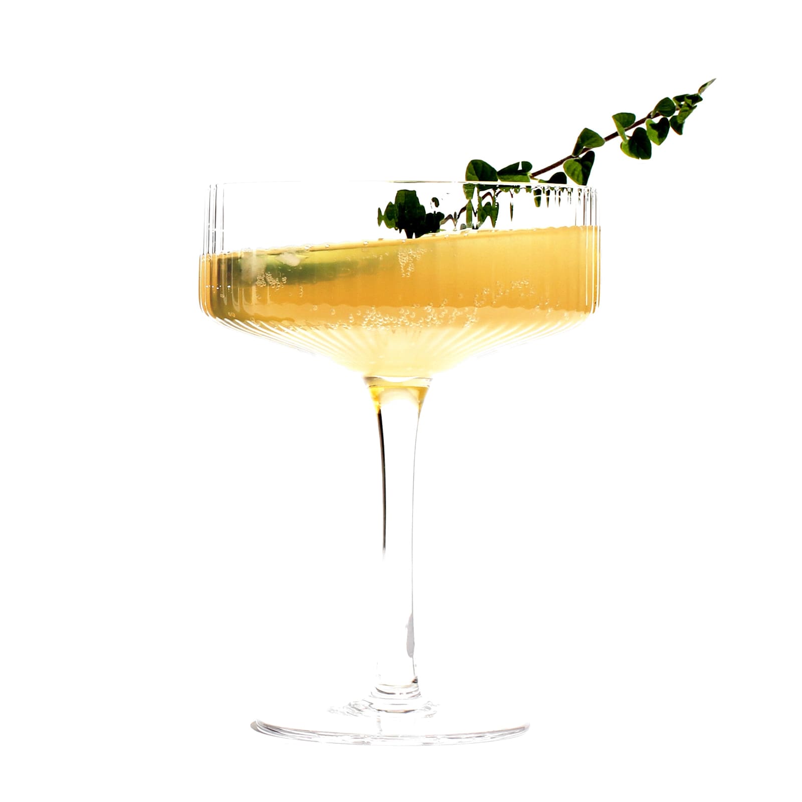 Curious Elixir No. 3 Booze-Free Cocktails