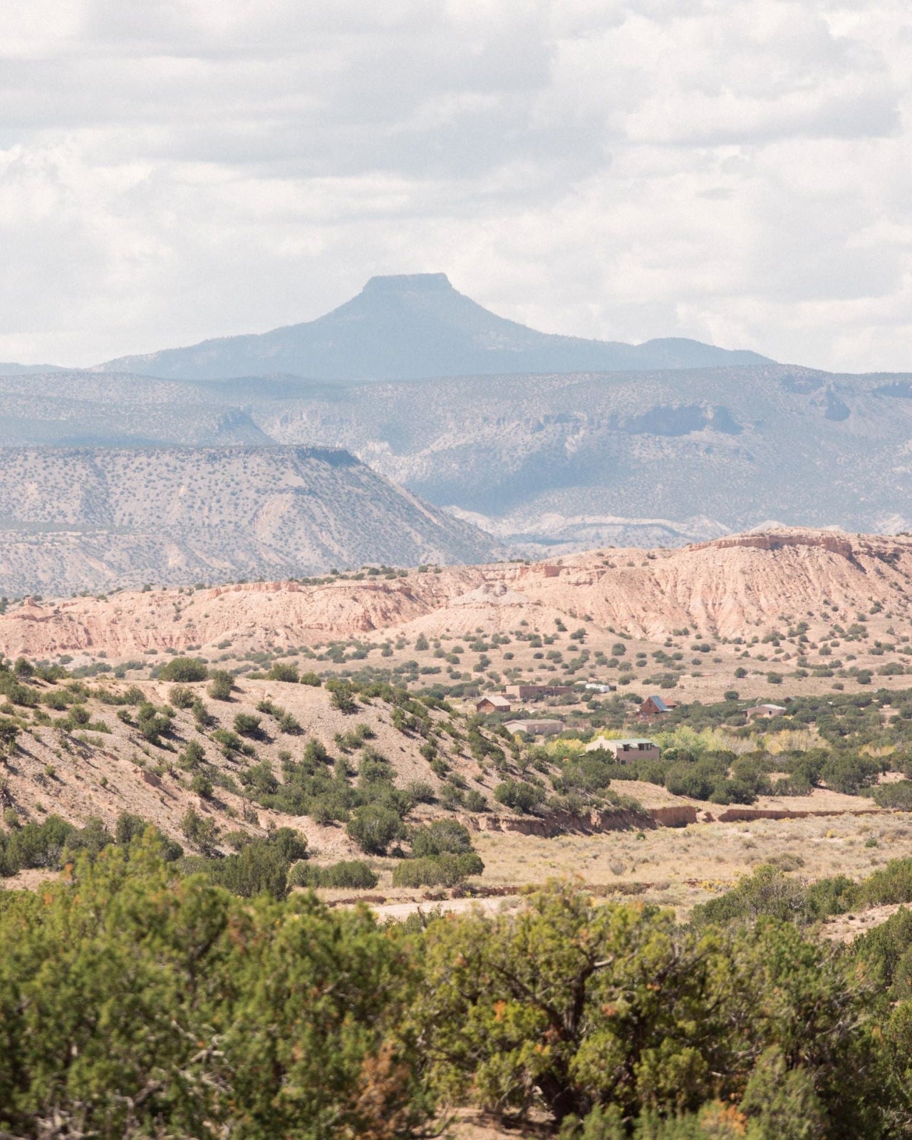 White Sage Room Spray