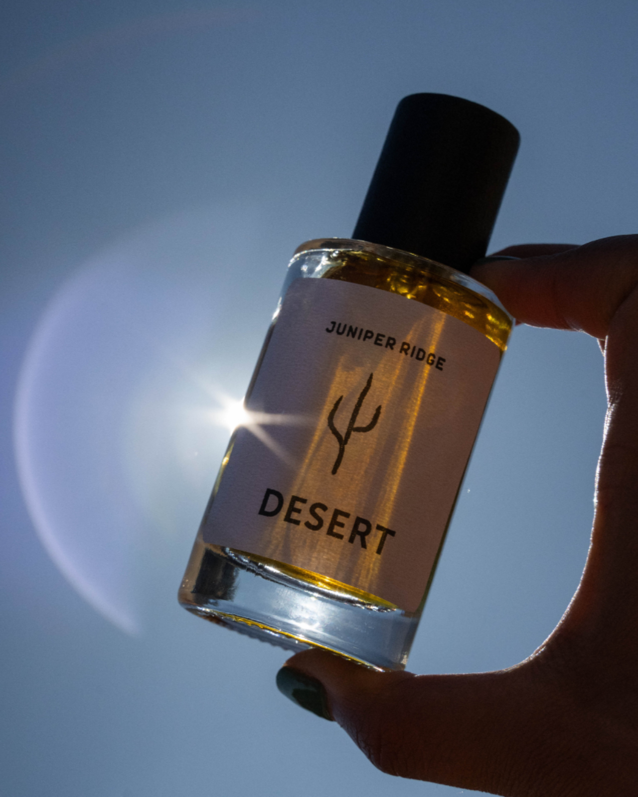 Desert Wilderness Cologne
