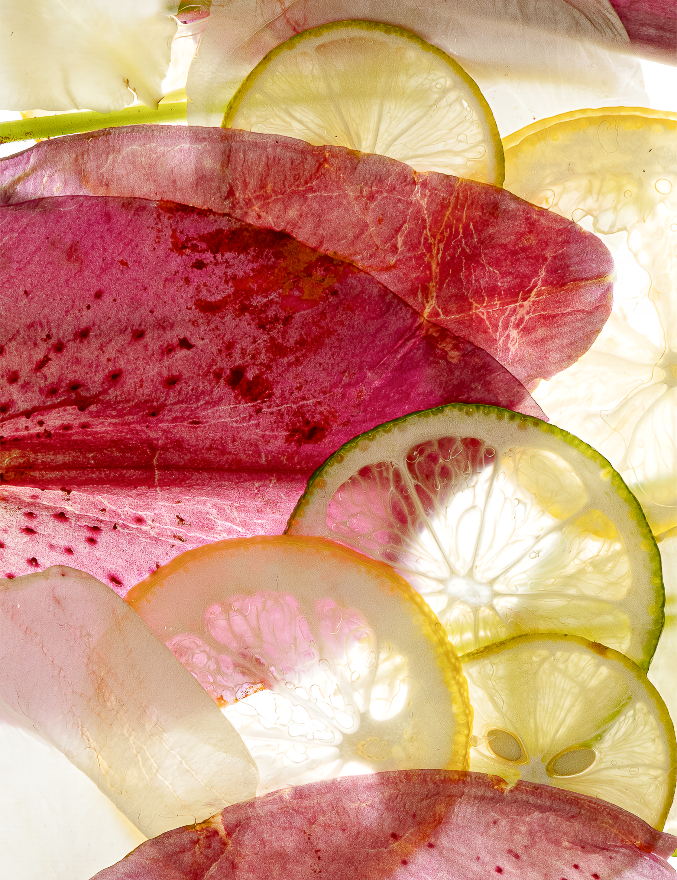 Gardenia & Lily Kolonya Hand Cleanser Duo