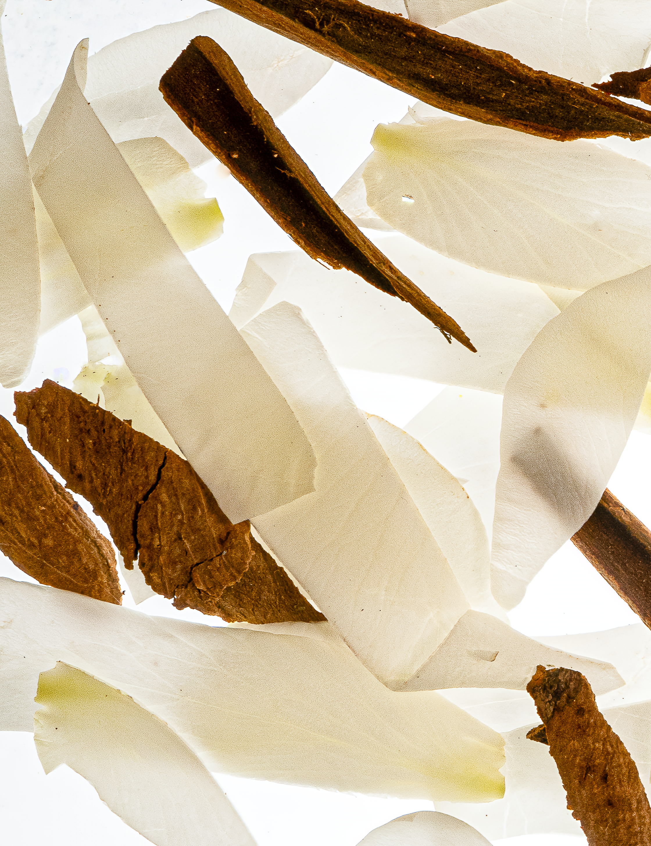 Neroli Blossom Kolonya Hand Cleanser Duo