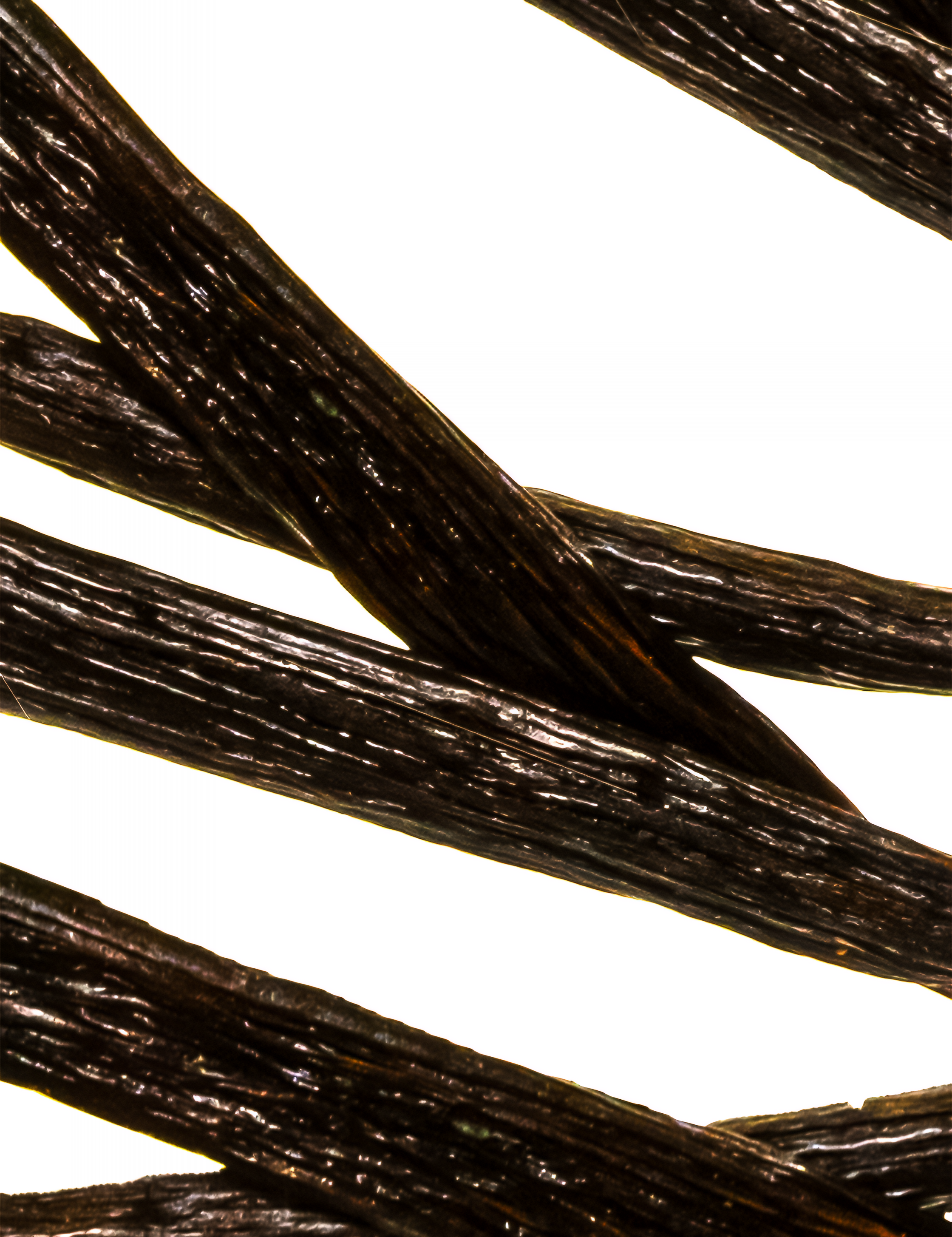 Sweet Cream & Vanilla Hamam Deo Body Spray