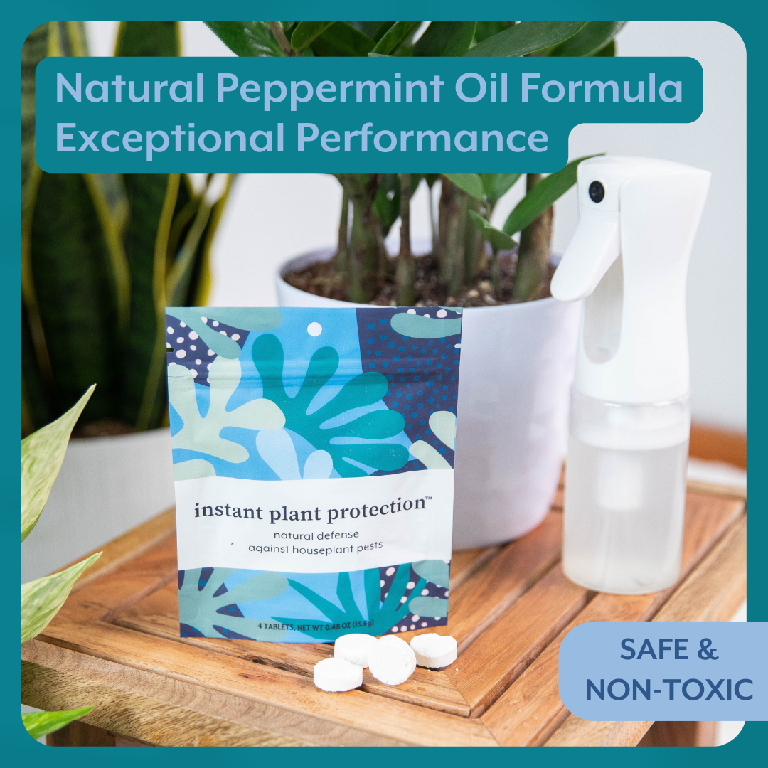 Houseplant DEFENSE Bundle - Natural Pest Control, Spray Bottle & Gloves