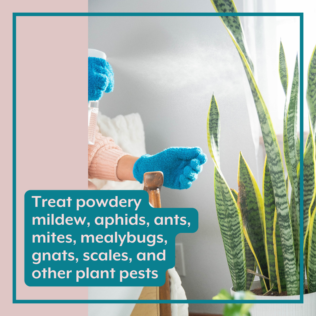 Revive Bundle - ProBiotics & Natural Pest Control Tablets for Houseplants