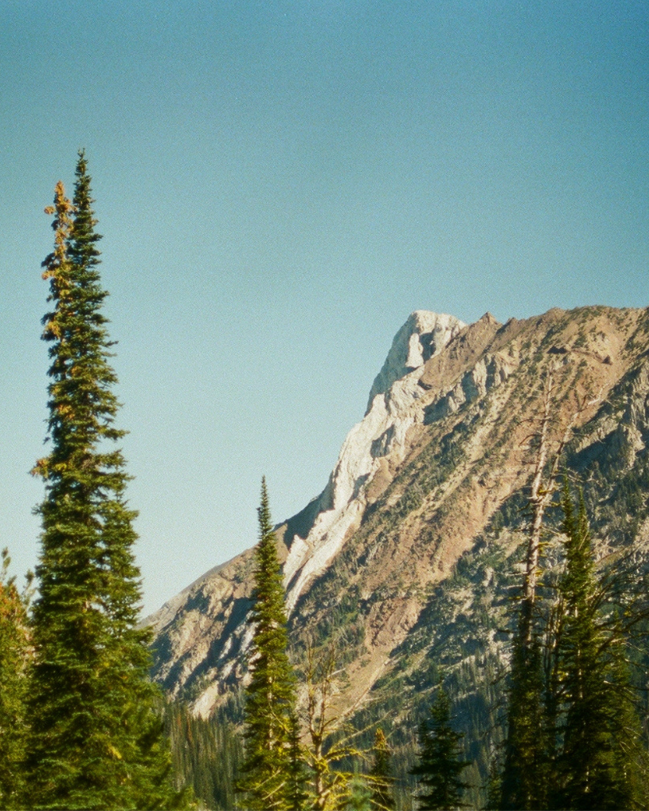 Mountain Wilderness Cologne
