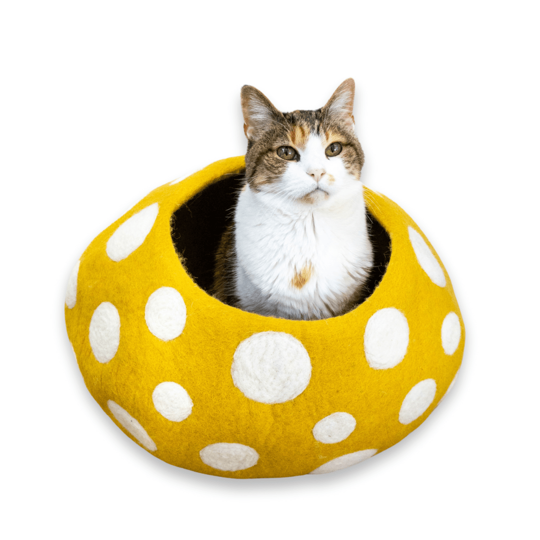 Gold Mushroom Eco Kitty Cave