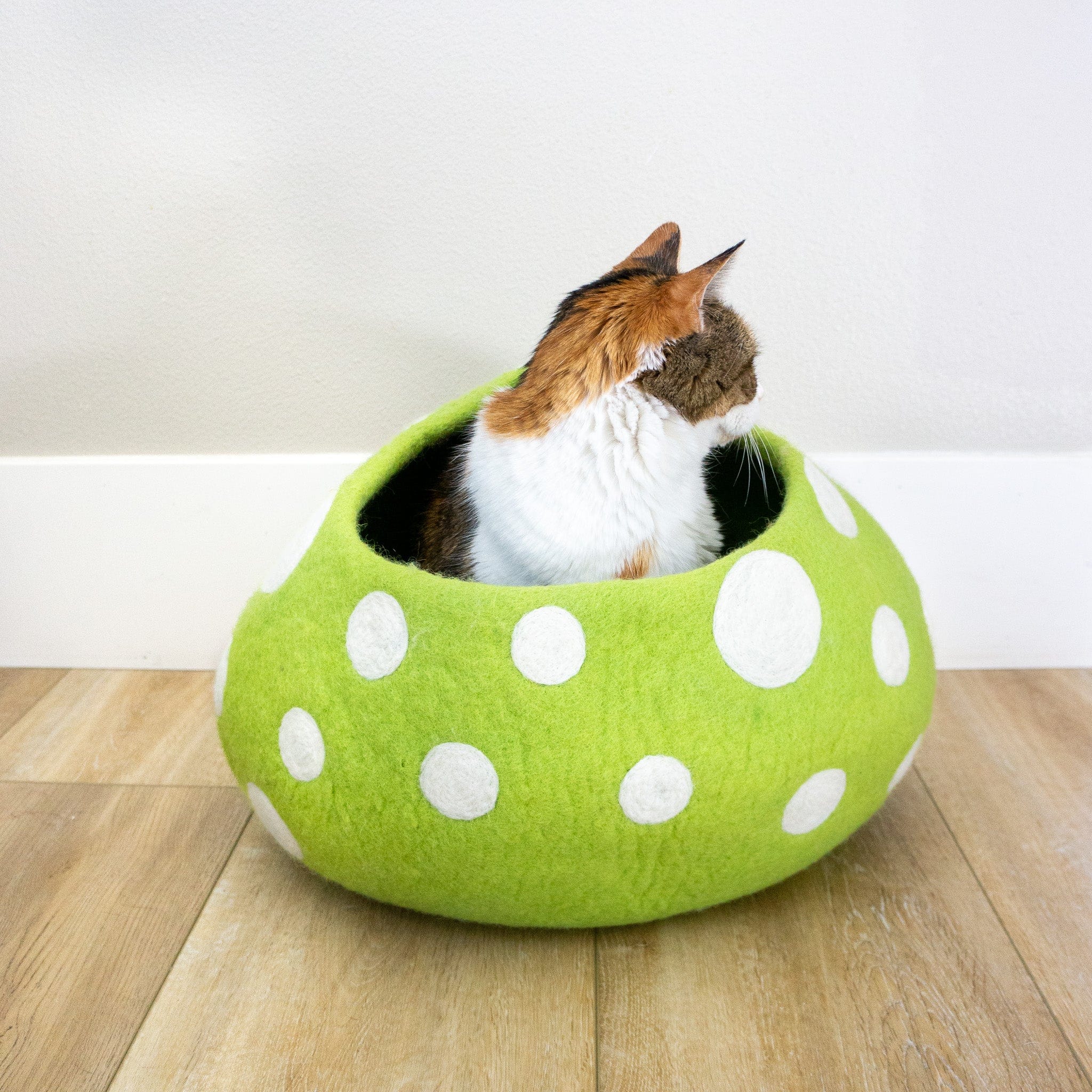 Green Mushroom Eco Kitty Cave