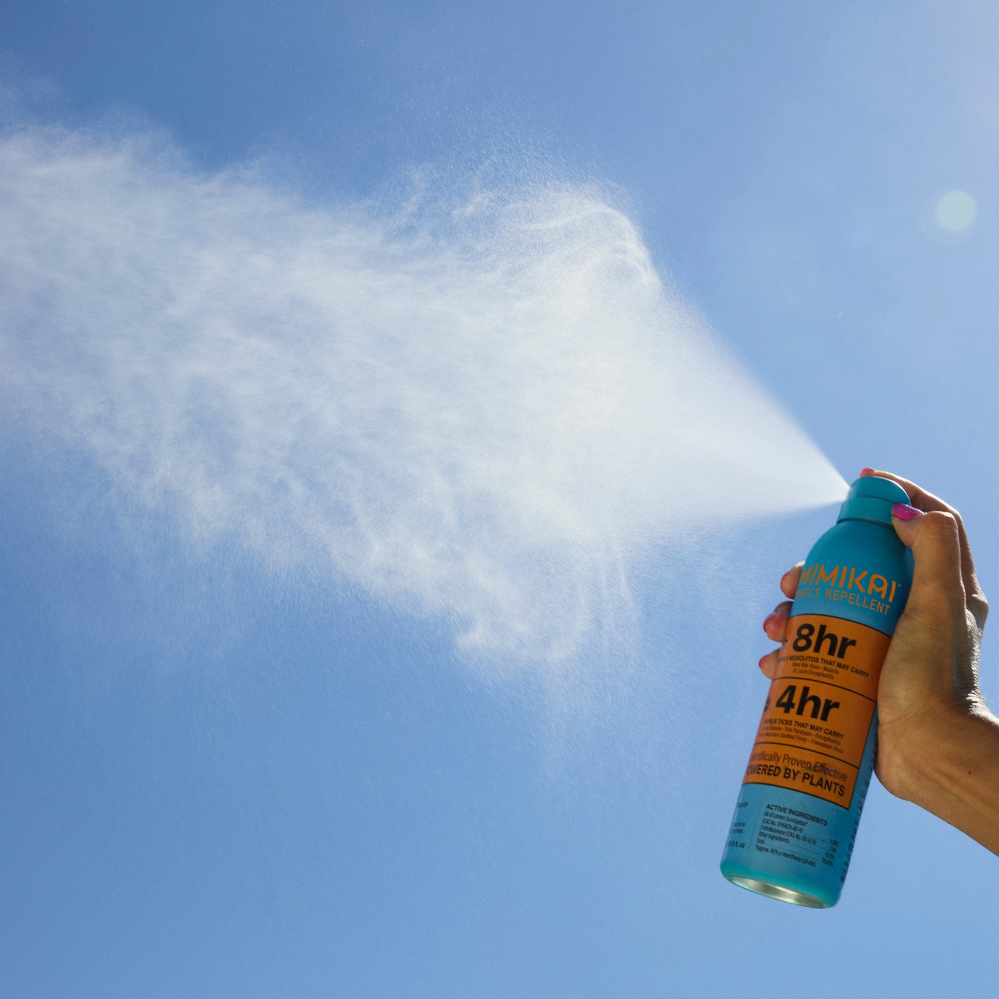 Mosquito & Tick Bug Spray Mist