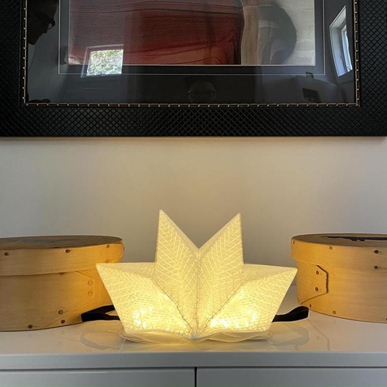 Solar-Powered Light + Power Bank: Solar QWNN