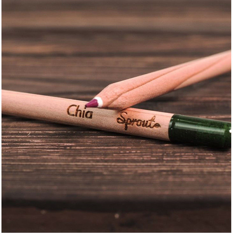 Plantable Colored Pencils - 8pk