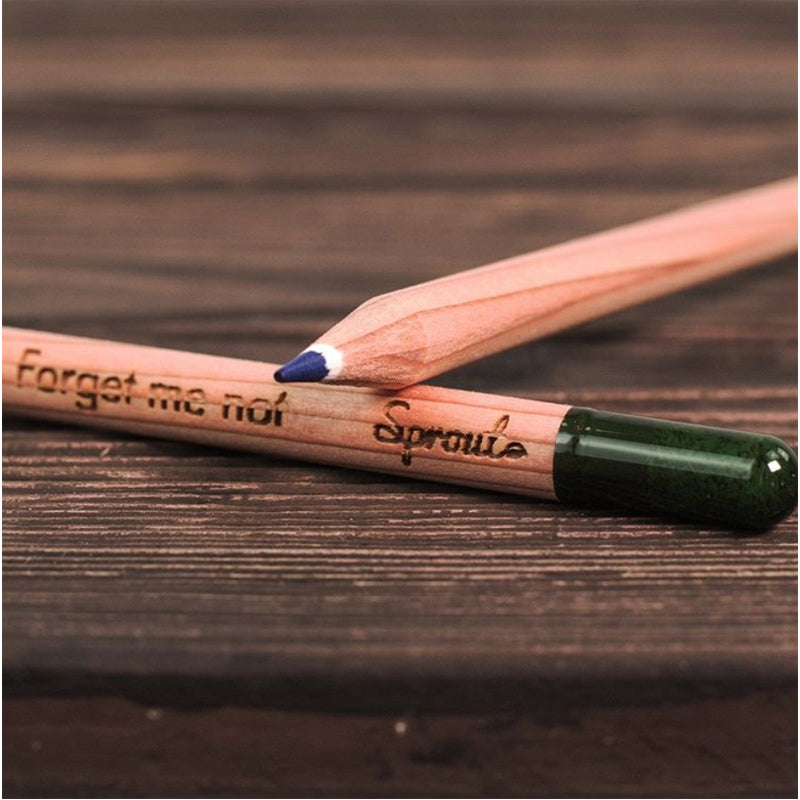 Plantable Colored Pencils - 8pk