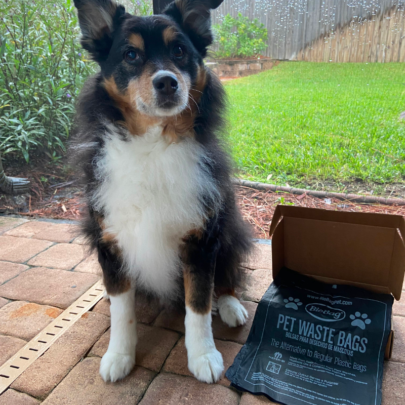 Bulk Pet Waste Bags - 200pk