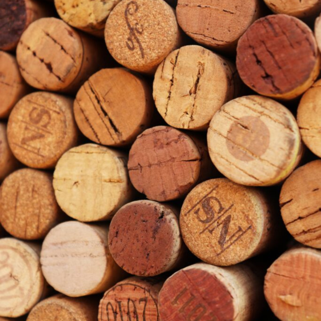 Sustainability Series: Cork