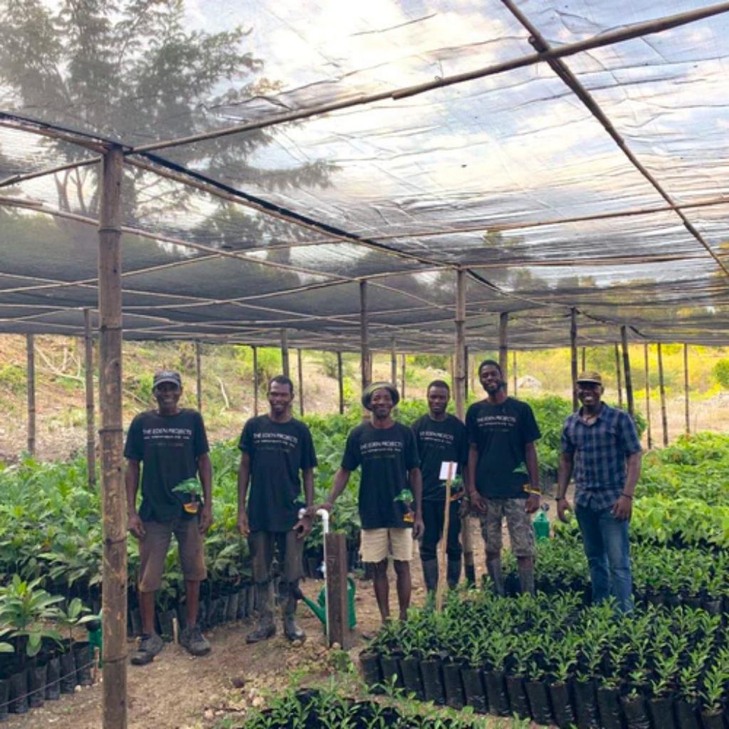 Non-Profit Spotlight: Eden Reforestation Projects