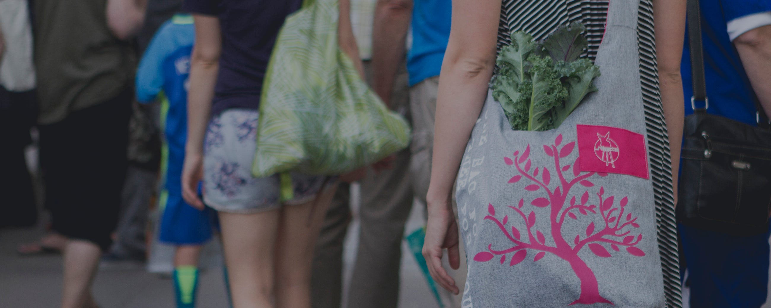 Reusable Home Essentials