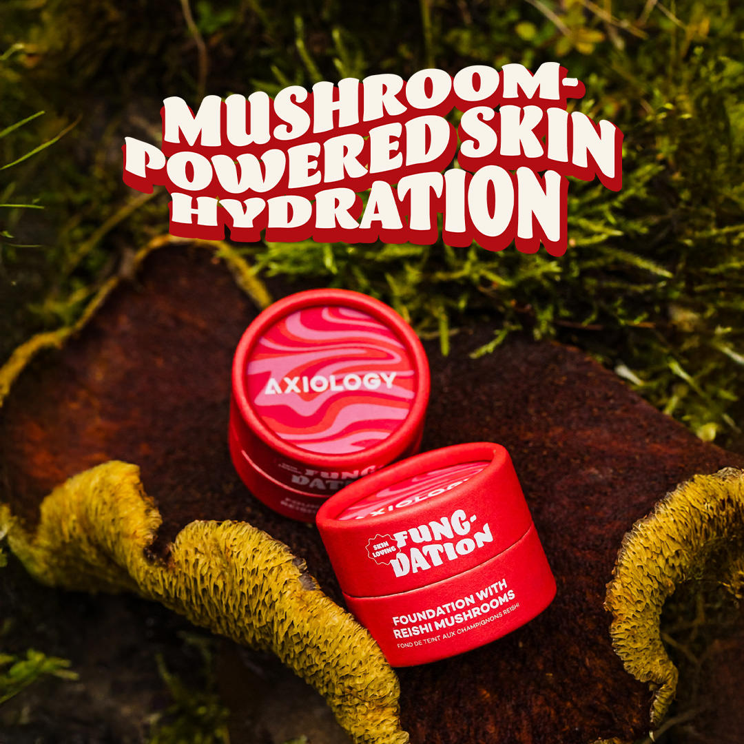 Fungdation - Mushroom Foundation