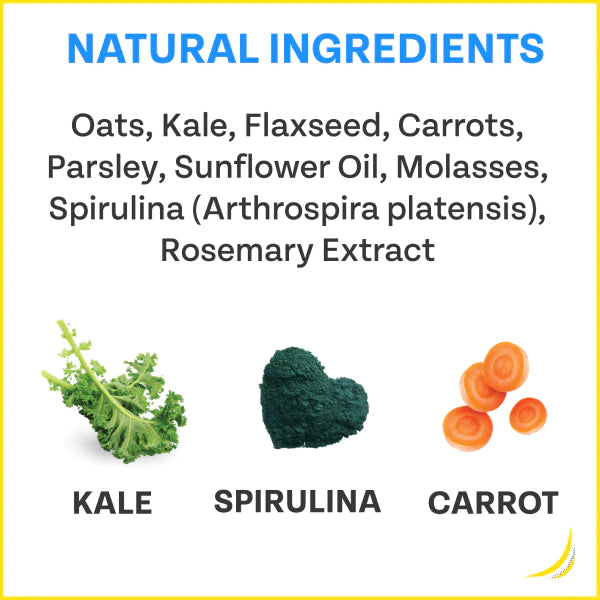 Veggie Dailies: Kale, Carrot, Spirulina- 2 pack