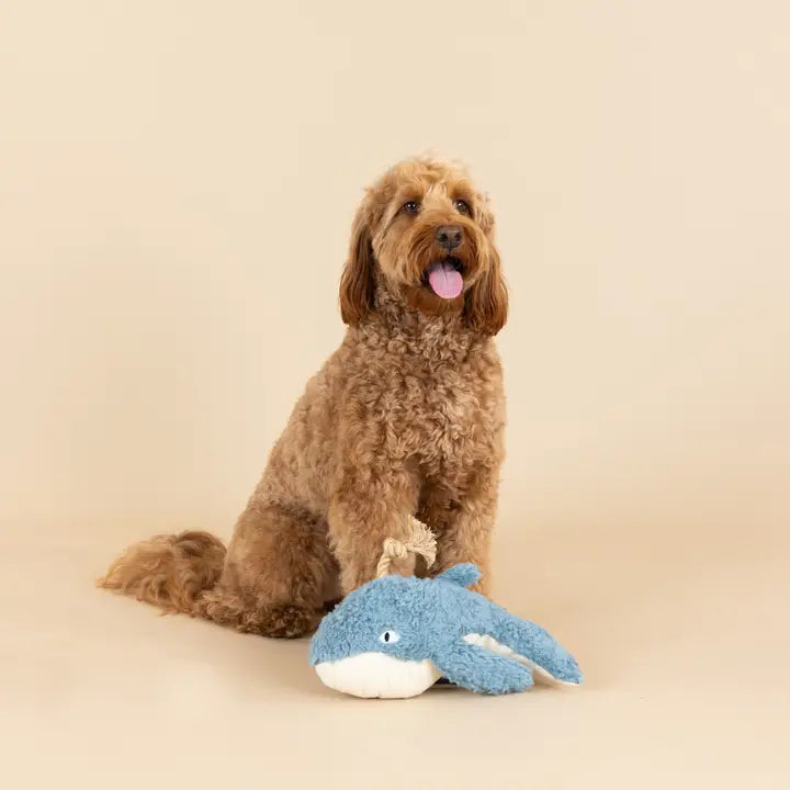 Whale Dog Toy