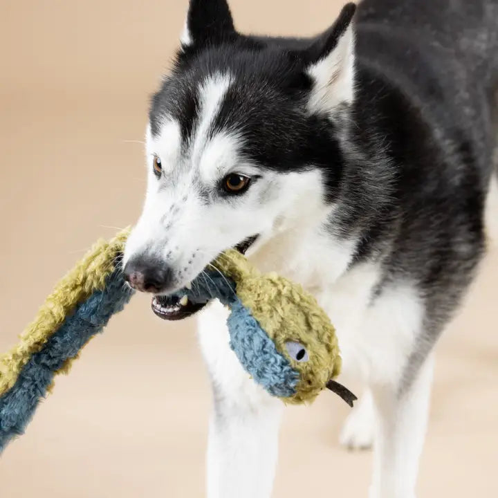 Recycled Snake Dog Toy