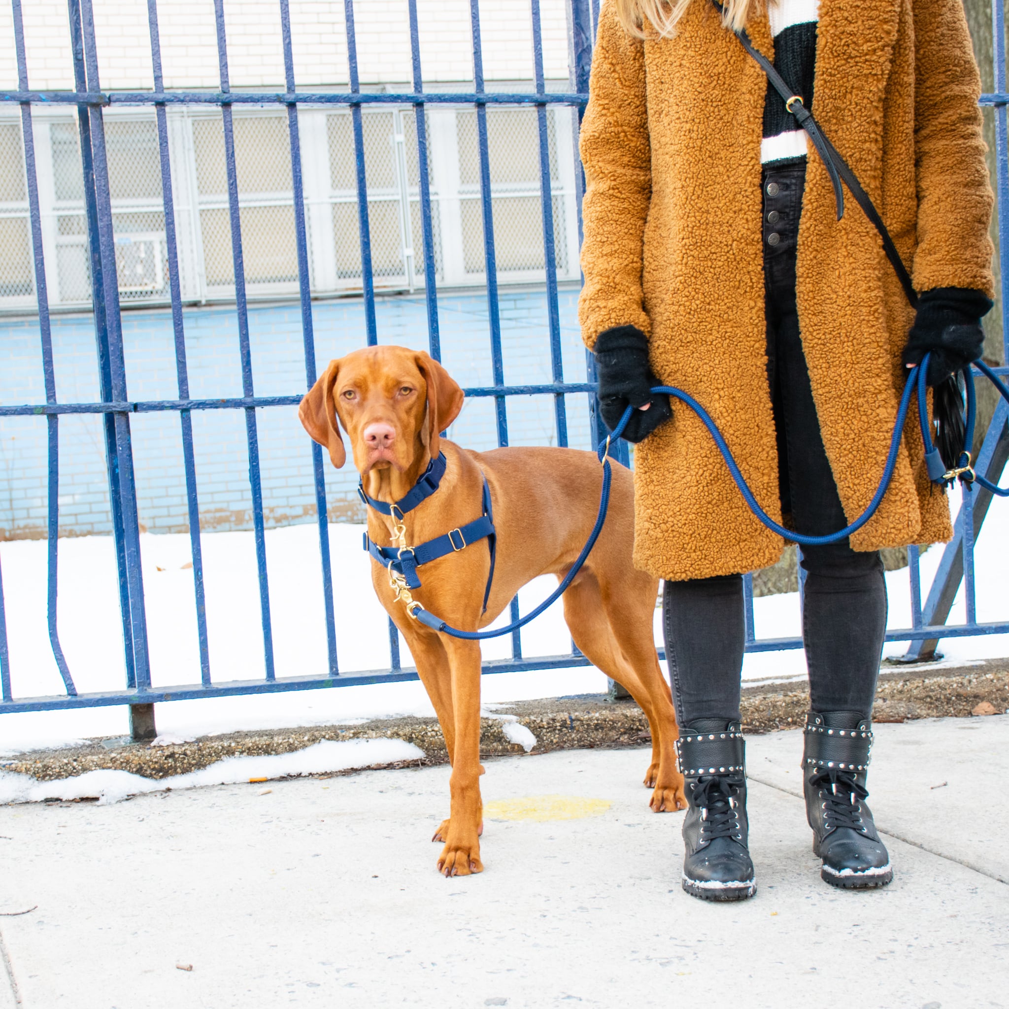 Dog Walking Safety Strap