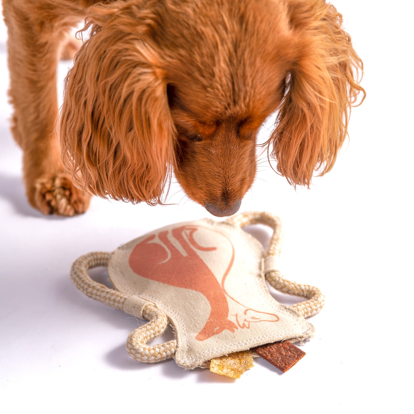 Canvas Puzzle Dog Toy