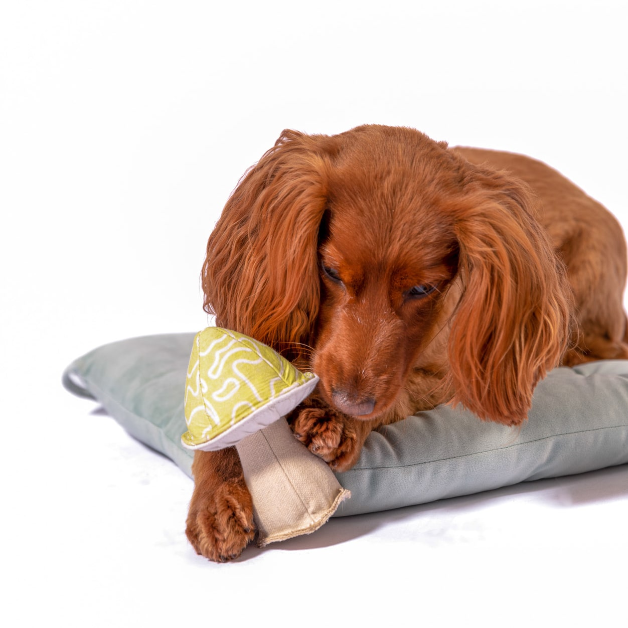 Canvas Mushroom Plushie Dog Toy