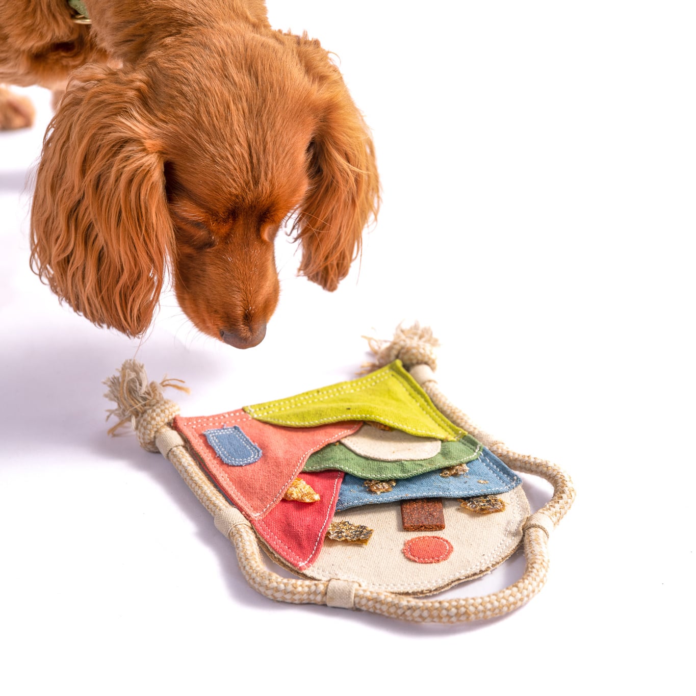 Canvas Scenic Stasher Puzzle Dog Toy