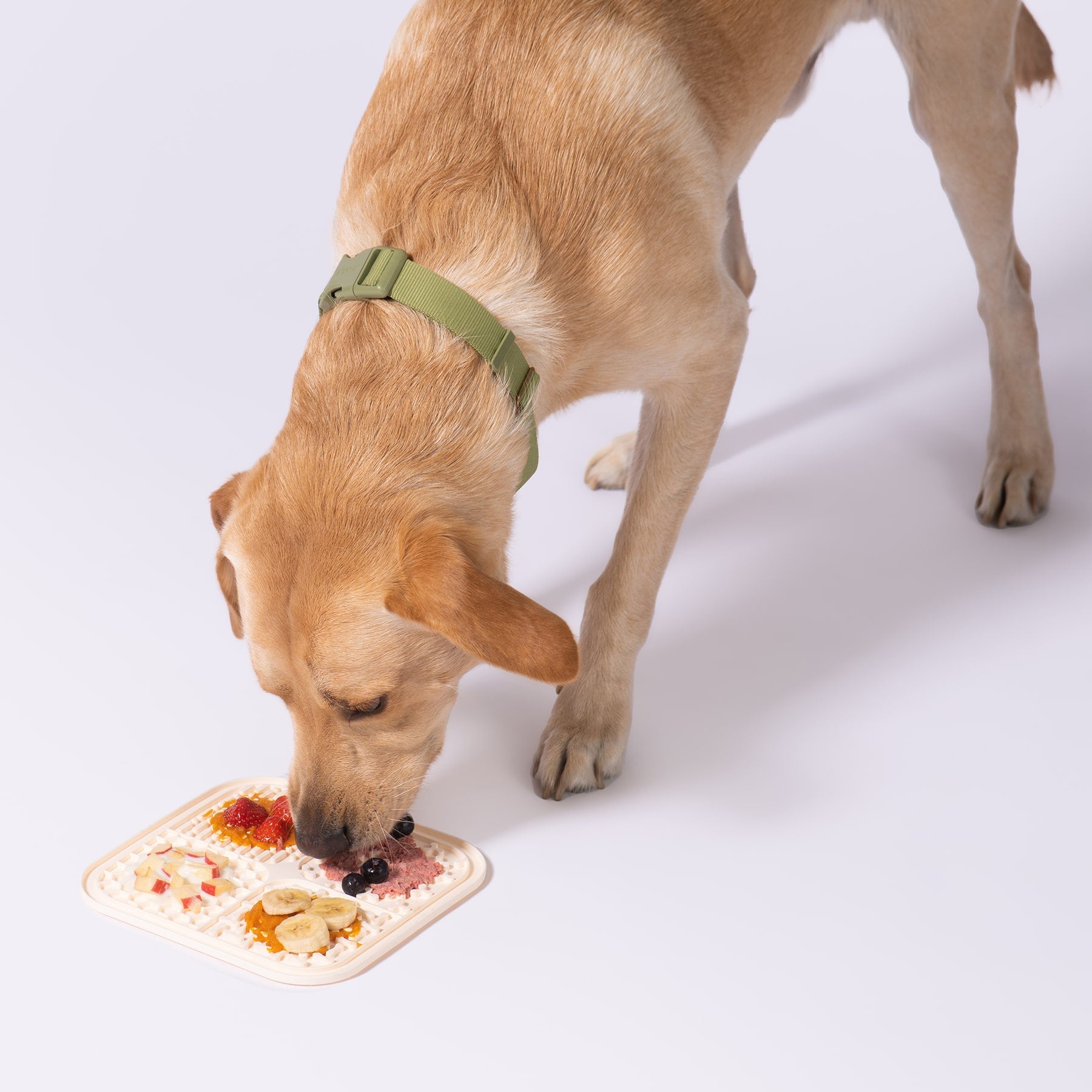 Smoosh Lick Mat For Dogs