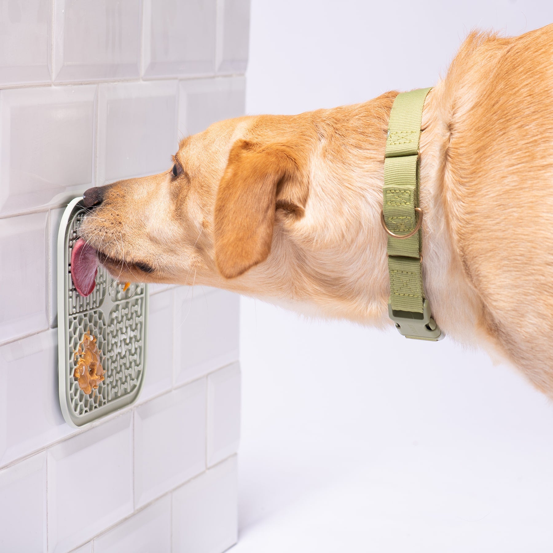 Smoosh Lick Mat For Dogs