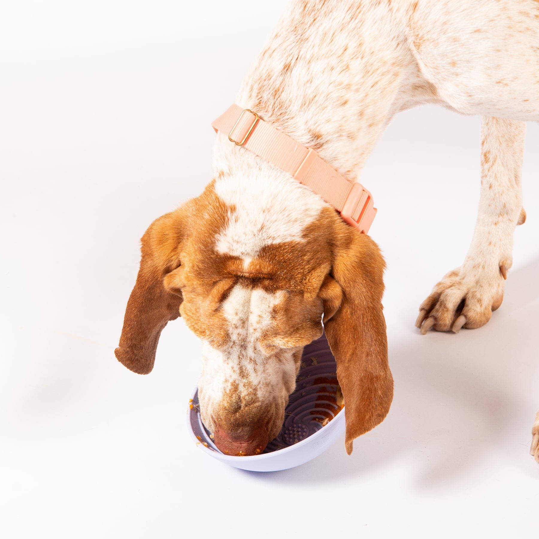 Wobbowl Lick & Slow Feeder Bowl For Dogs