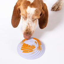 Wobbowl Lick & Slow Feeder Bowl For Dogs