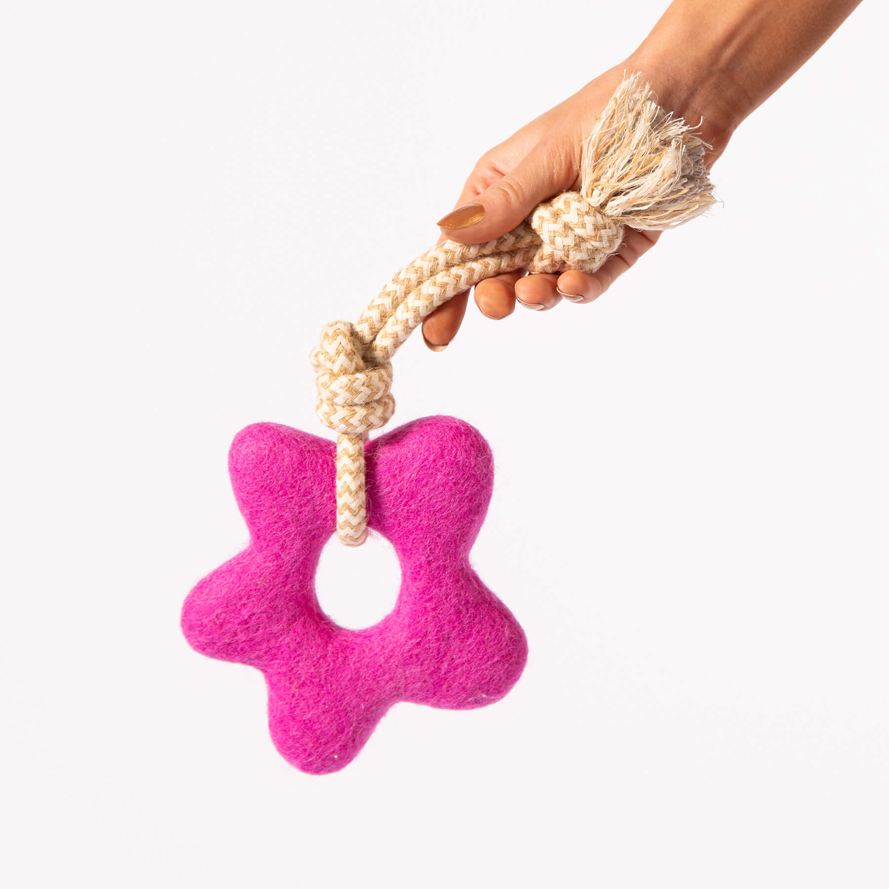 Pullin' Posies Felt Dog Toy