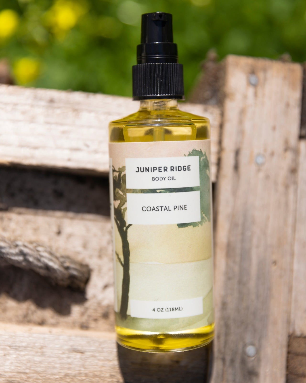 Coastal Pine Body Oil