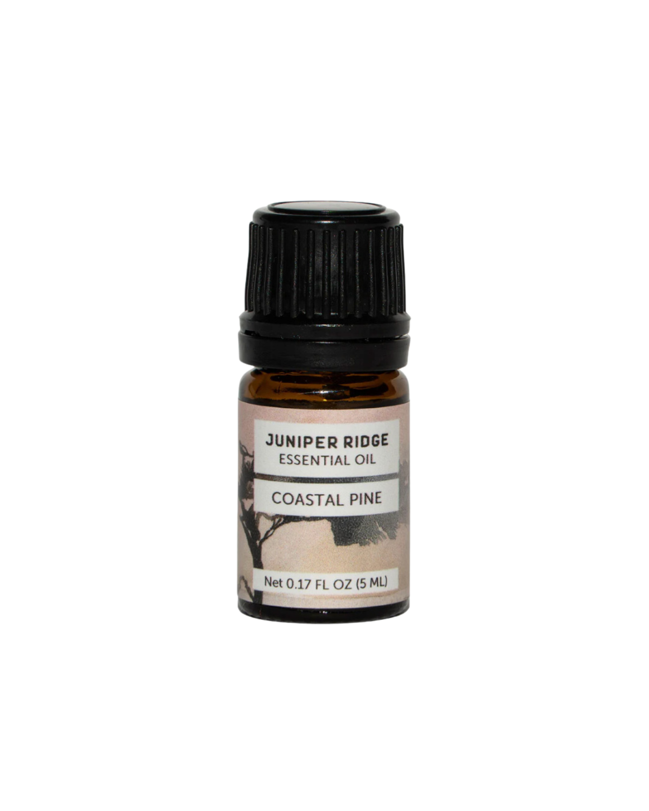 Coastal Pine Essential Oil