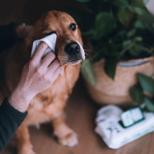 Bamboo Dog Wipes