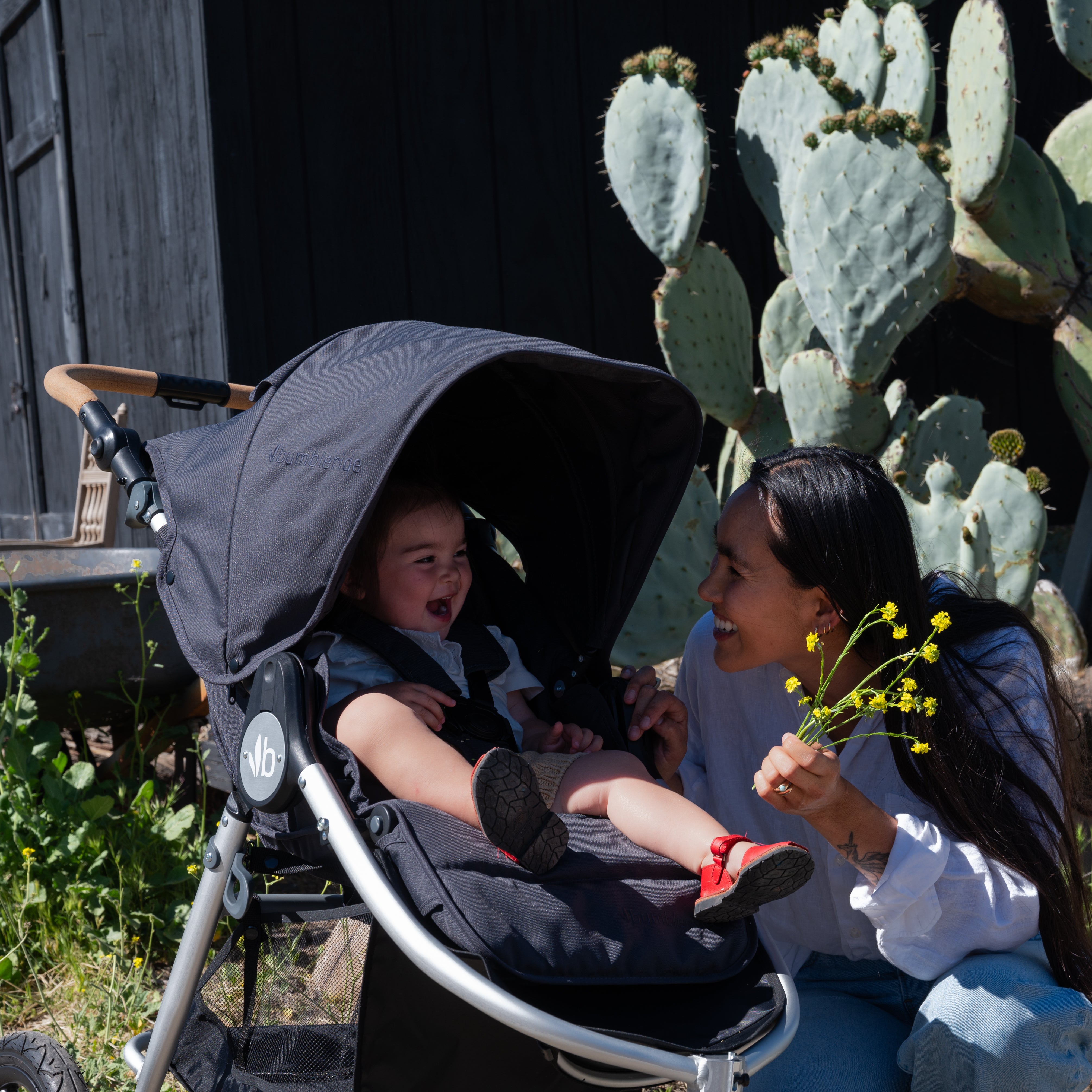 Indie All Terrain Stroller