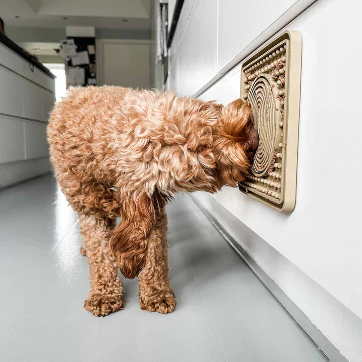 Dog Licking Mat