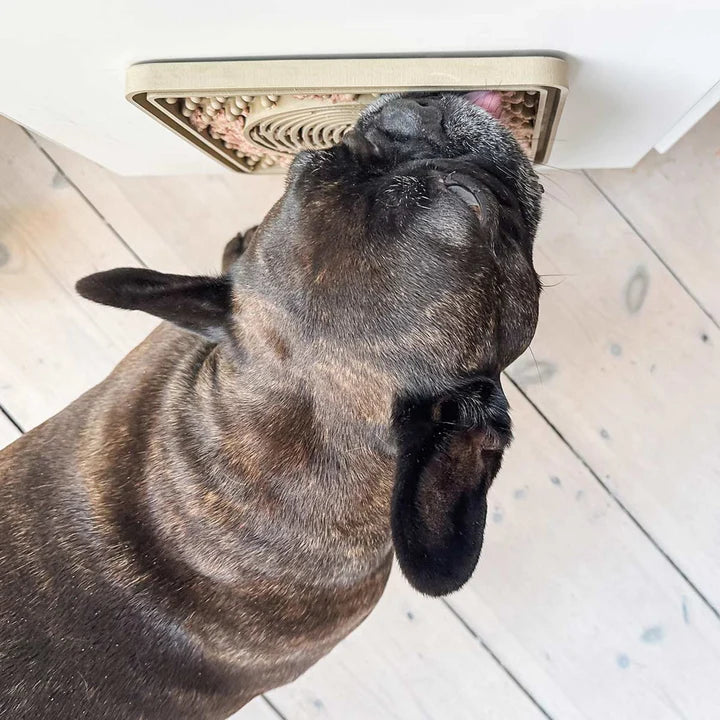 Dog Licking Mat