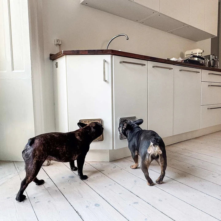 Dog Licking Mat