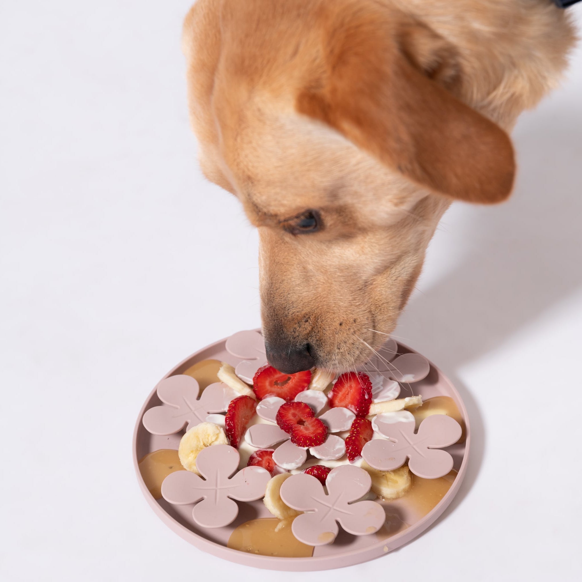 Meadow Mat Slow Feeder For Dogs