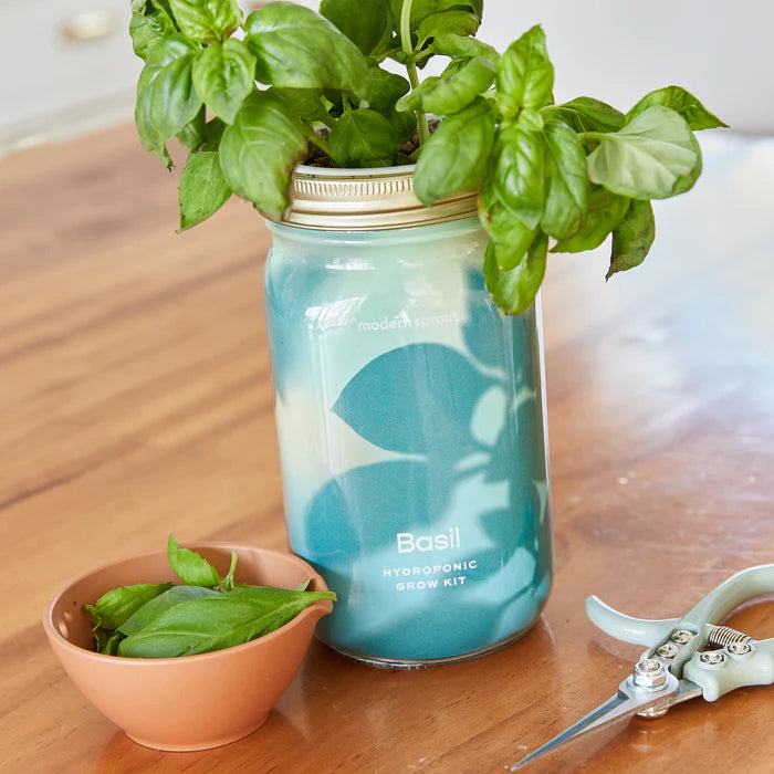 Herb Jar and Self-Watering Planter