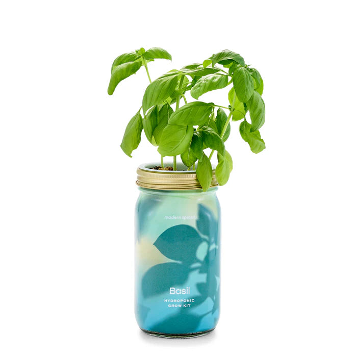 Herb Jar and Self-Watering Planter