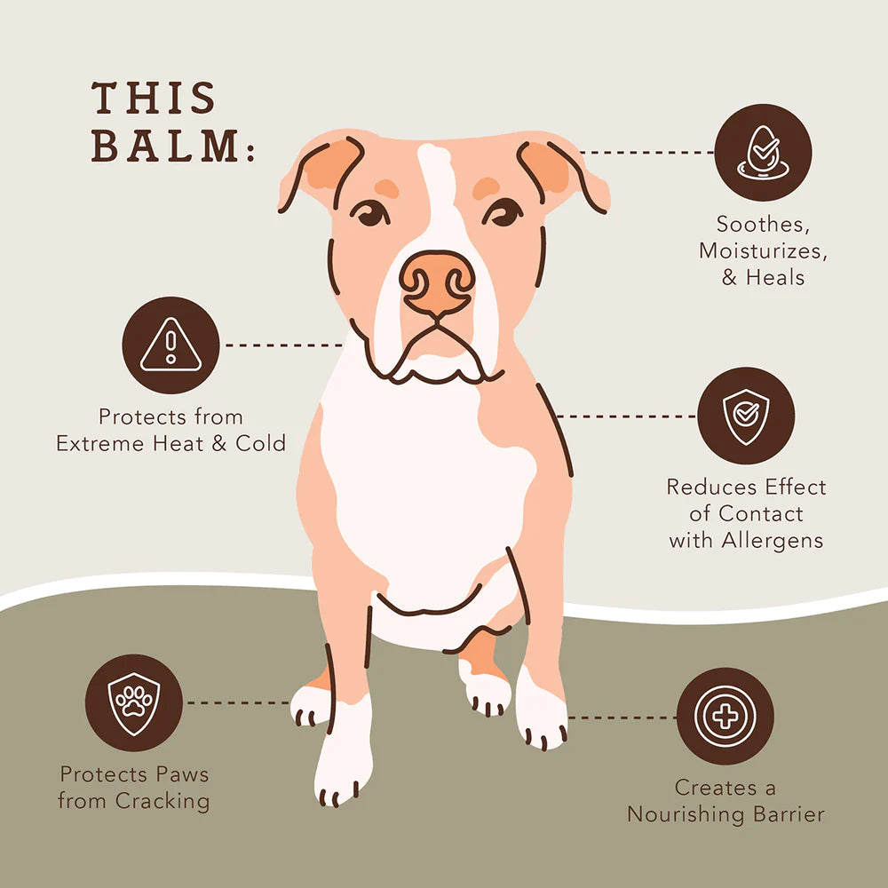 Paw Protection Dog Balm