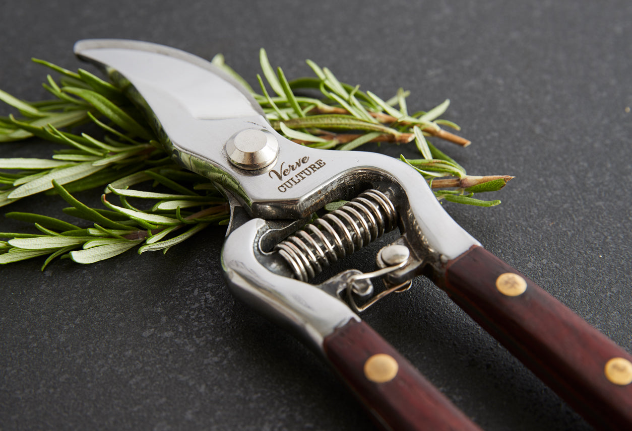 Thai Kitchen and Garden Shears