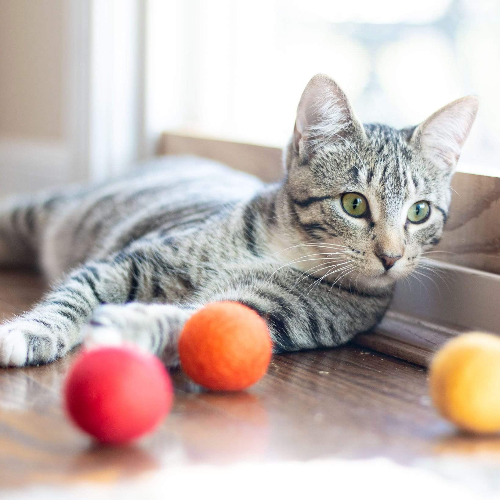 Eco Toy Balls "Orange Crush" - Set of 6